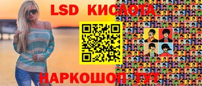 соль ск Бердск