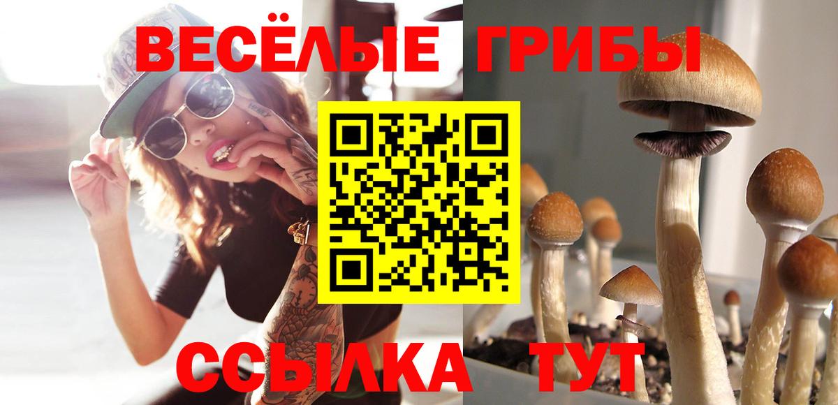 цены   Псилоцибиновые грибы Psilocybine cubensis  Вход с VPN  Псилоцибиновые грибы мицелий  Ижевск 