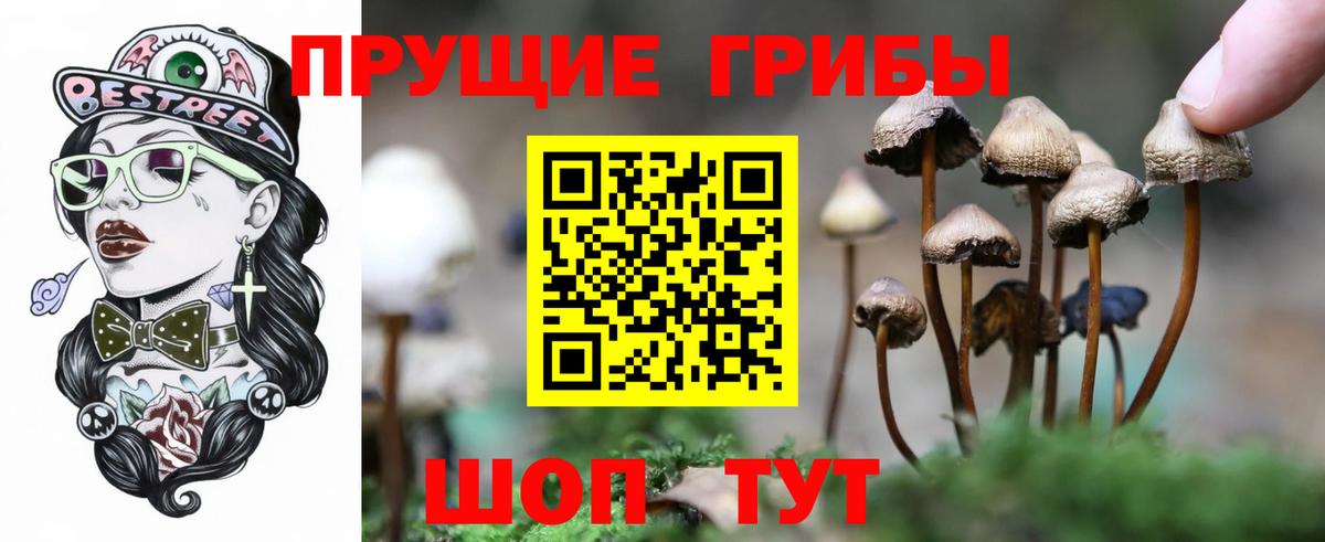 Галлюциногенные грибы Magic Shrooms Ижевск